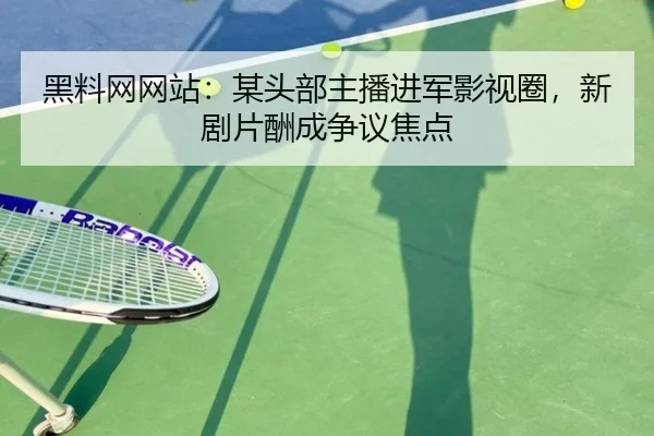 黑料网网站：某头部主播进军影视圈，新剧片酬成争议焦点